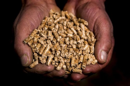 La tonne dépasse les 500 euros, les pellets de bois, bientôt un produit de luxe ?