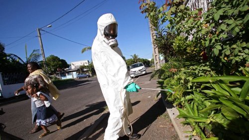 Chikungunya à La Réunion : "L'épidémie touche l'ensemble de l'île", confirme l'ARS qui s'attend à avoir au moins "10 000 cas à la fin de la semaine"