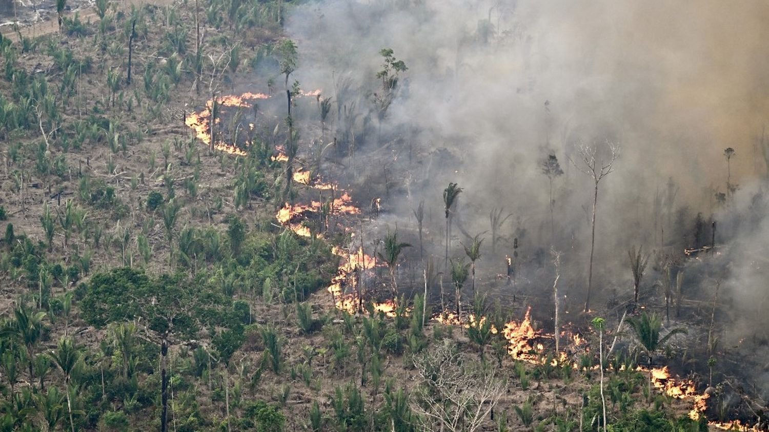 L’agriculture intensive et la déforestation mènent la planète au « bord du précipice », selon l’ONU