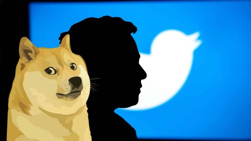 Twitter : le logo du réseau social est remplacé par… un chien ! Twitter : le logo du réseau social est remplacé par... un chien !