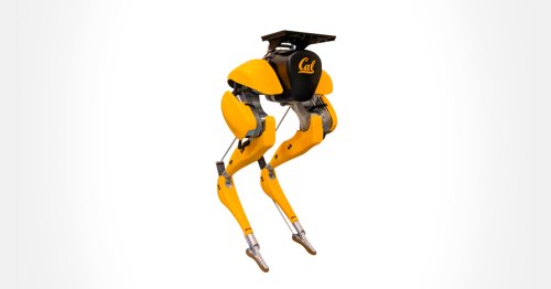 These robot legs taught themselves to walk