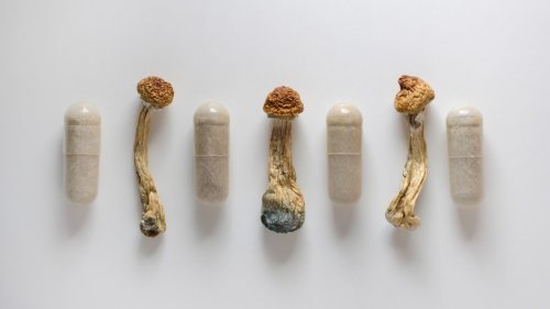 Single dose of psilocybin reduces depression in phase 2 trial
