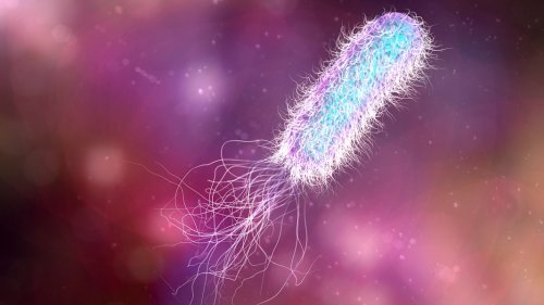 A smart bomber for bacteria could help save antibiotics