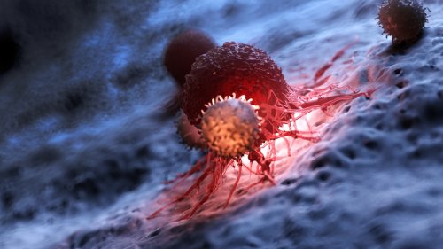 For the first time, scientists can switch cancer-fighting cells on and off