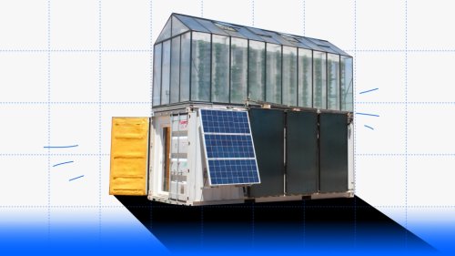 Aquaponic shipping containers: The future of food?