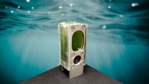 Algae-powered computer runs for a year on light and water