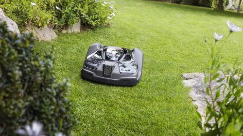 Adorable robot lawn mower can help save the bees