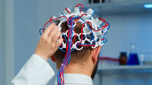 „Extreme Male Brain“: Die Mär vom natürlichen Herrschaftsanspruch einiger Männer