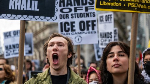 Wegen Palästina stimmten US-Linke gegen Kamala Harris. Und jetzt?