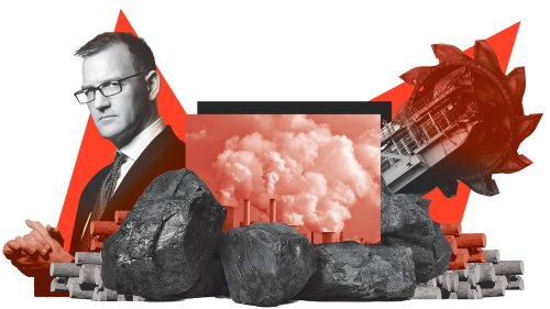 Lausitz: Nach der Kohle geht’s ins Holz