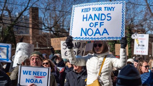 Donald Trump stoppt Klimaforschung in den USA: 1.300 Wissenschaftler entlassen