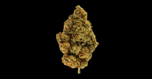 Cannabis-Legalisierung: Friede, Freude, Cannabiskuchen?