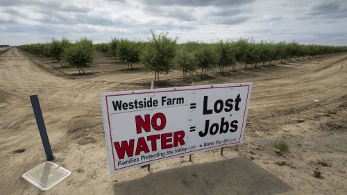 Central Valley farmers need a fighting chance to survive. This bill will help | Opinion
