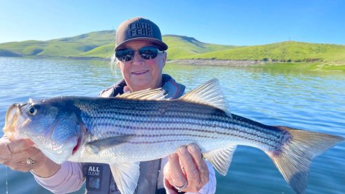 Fishing report, April 17-23: Delta stripers and bass bites are enticing anglers. Don Pedro trout are on a tear and bass Lake trout are making for easy limits.