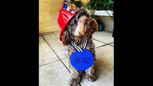 Slain Clovis teen was saved from arson fire by neighbor’s dog in 2023