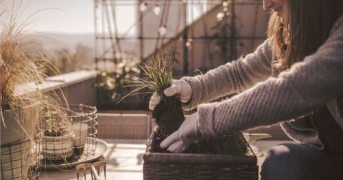 3 Tipps für einen winterfesten Balkon und Garten | freundin.de