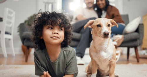 Hunde haben keine Schuldgefühle: 3 neue Fakten über Hunde | freundin.de