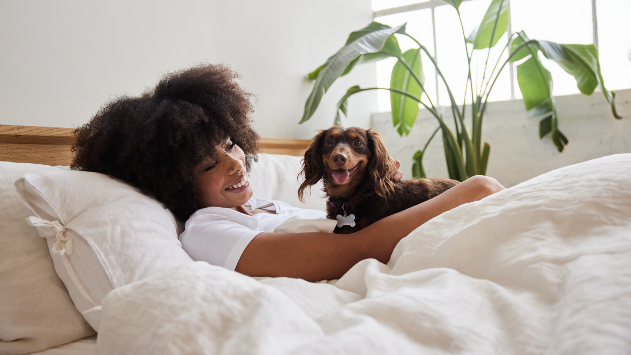 Bürde oder bester Freund: Machen Hunde unser Leben wirklich besser?