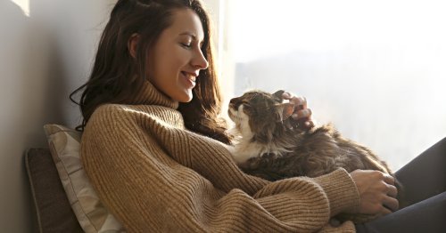 Die wichtigsten Tipps zur Katzenerziehung | freundin.de