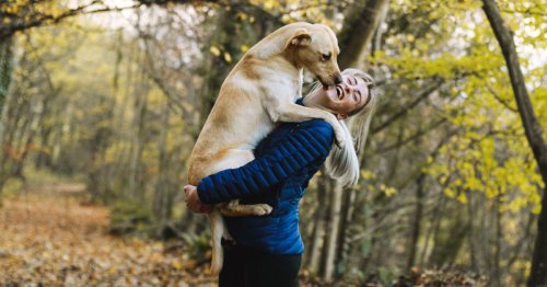 10 Wege, wie Ihr Haustier "Ich liebe dich" sagen möchte