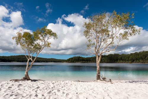 Australia's Fraser Island Sheds a Name Born from Lies—and Restores the Original One