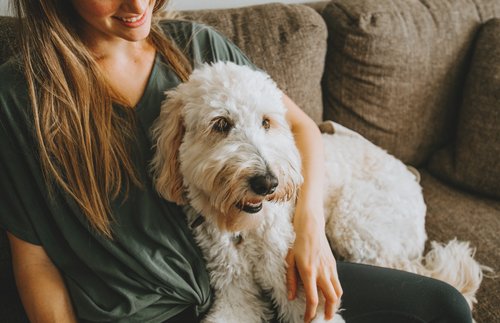 How to Find a Pet Sitter: Where to Look, What to Ask, When to Book