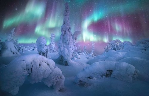The Year's Most Stunning Photos of the Northern Lights