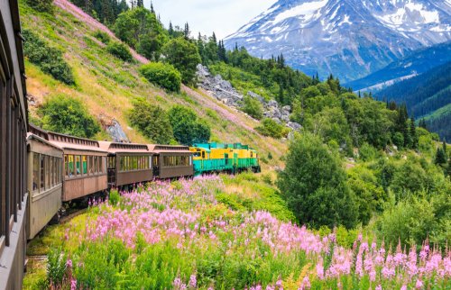 Choo Choo with a View: Scenic and Historic Rail Journeys 