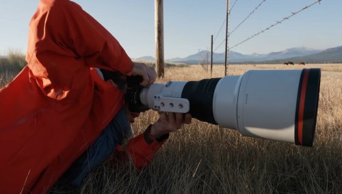 Insane $12,000 Sony 400mm f/2.8 Lens Tested: Worth the Money?