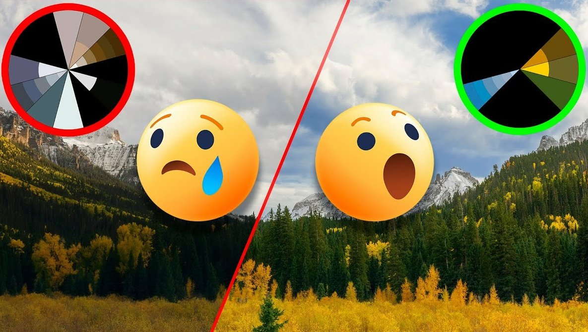 A Photographer's Guide to Color Theory