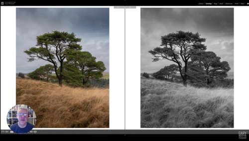 Helpful Tips for Editing Black and White Landscape Photos in Lightroom
