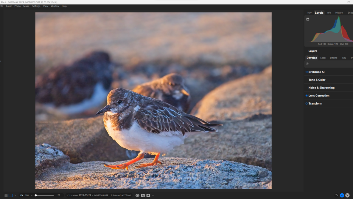 Why Is ON1 Photo Raw 2024 and ON1 Photo RAW MAX a Fabulous Replacement for Lightroom Classic and Photoshop?