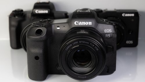 Answering the Age-Old Question: What Camera Should I Buy?