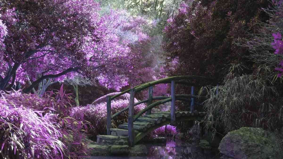World of Fae: 5 Enchanting Books Featuring Faeries