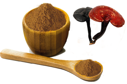 Fungus Extract Powder - Fungus Extract Manufacture I MIGU Adaptogen Manufacture