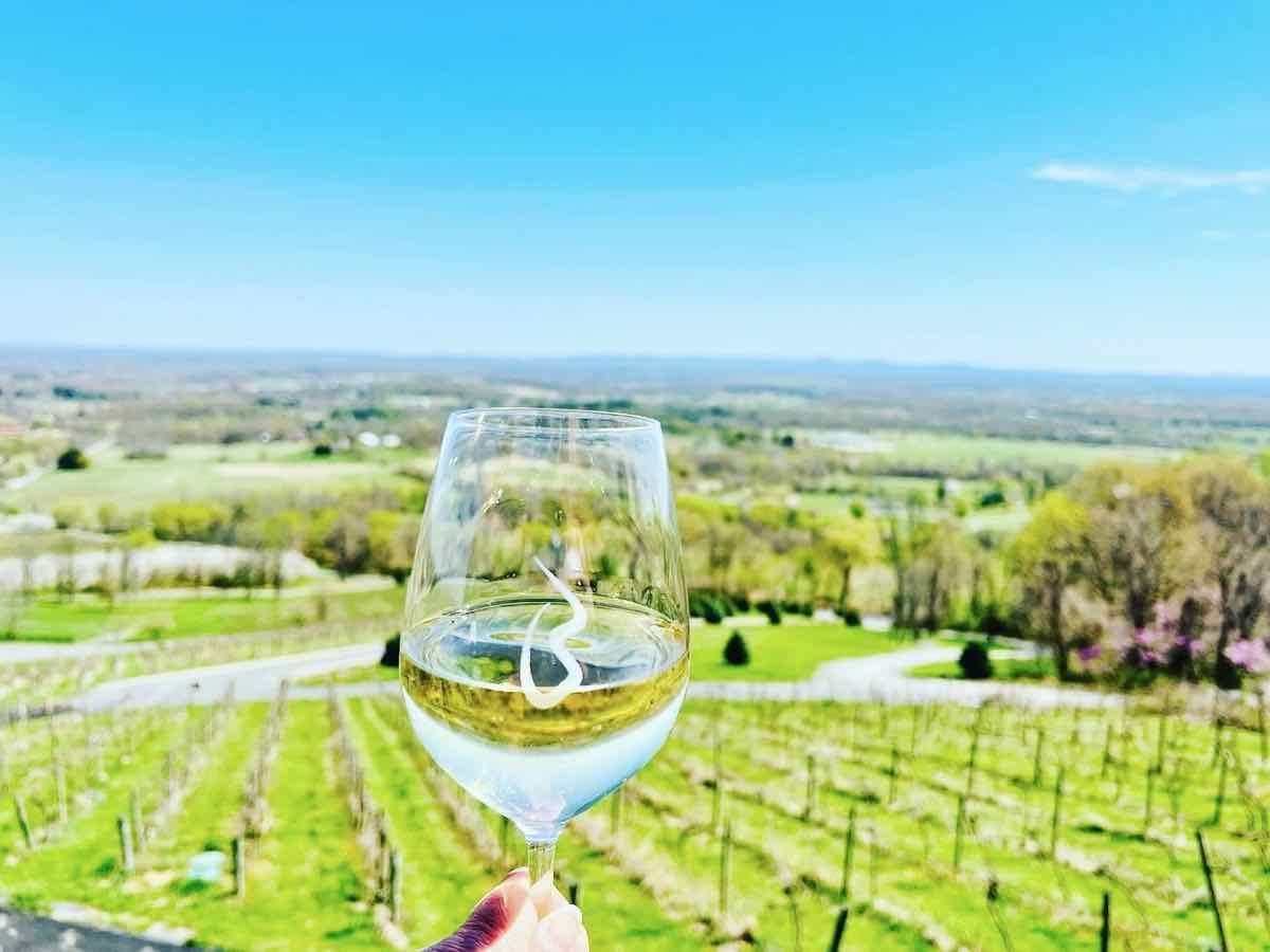 17 Fantastic Northern VA Wine Country Vacation Rentals and Airbnbs