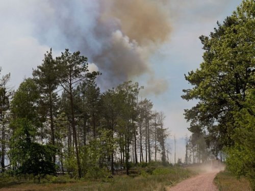 Waldbrand bei Jüterbog: Fläche mehr als verdoppelt