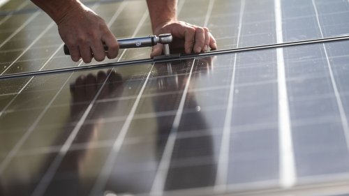 Habeck will Solarindustrie finanziell fördern