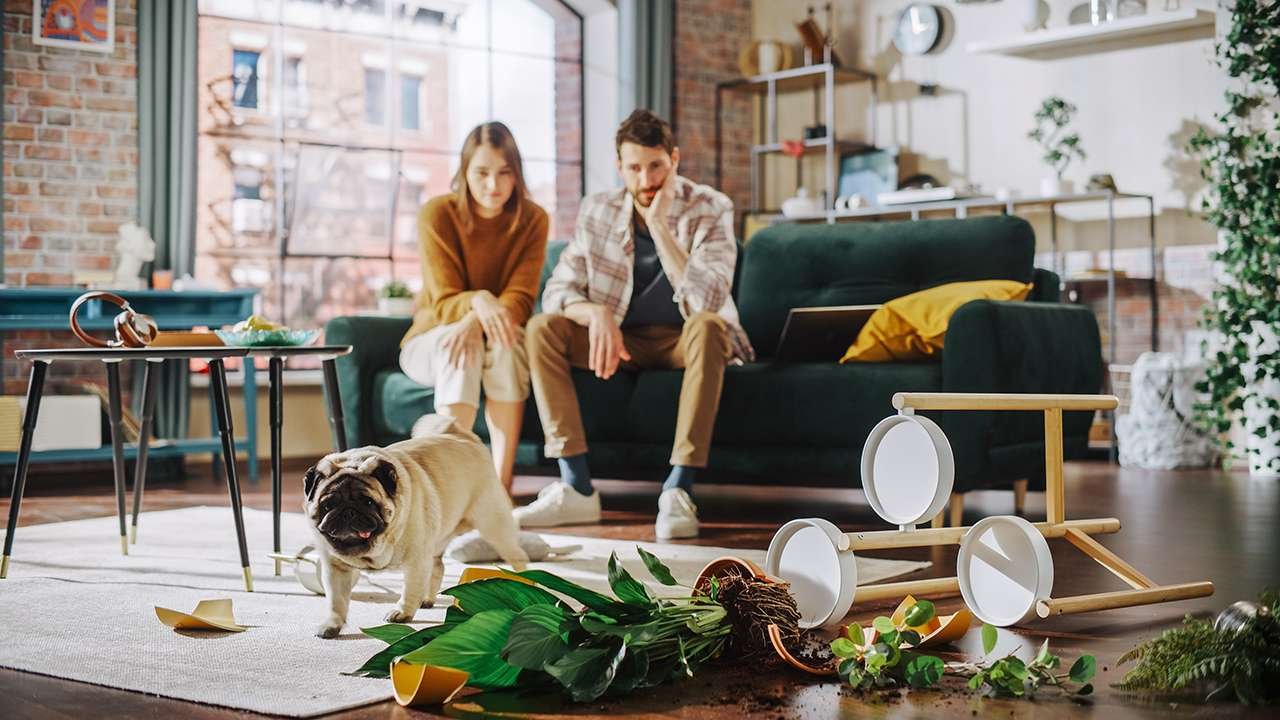 The Essential Spring Cleaning & Decluttering Collection - cover