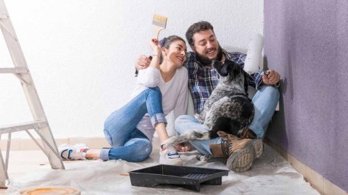 DIY or Call Paint Pros? What Every Pet Owner Should Consider