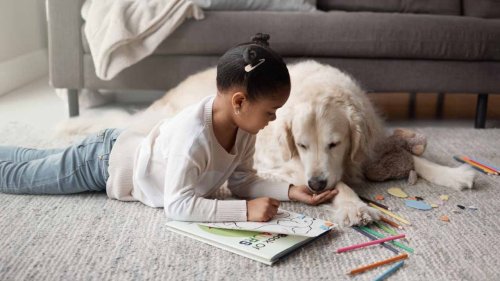 How To Reduce Choking Hazards for Your Pet