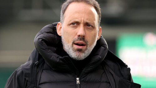 Matarazzo über aktuelle VfB-Situation: "Ich suche keine Ausreden"