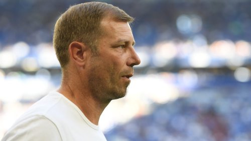"Mangelt an Kompetenz" - Frank Kramer schießt gegen Schalke-Bosse