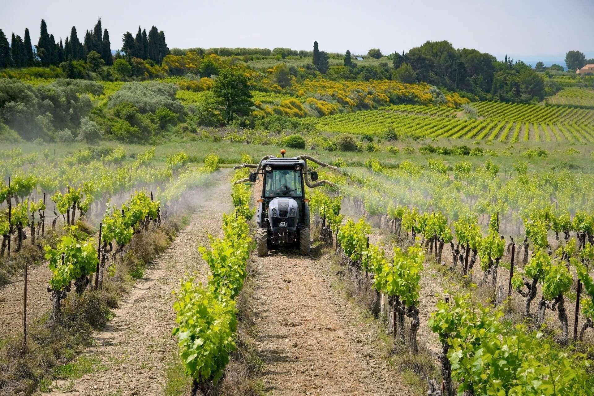 Ce que révèle vraiment la plus grande étude française sur les pesticides et les riverains