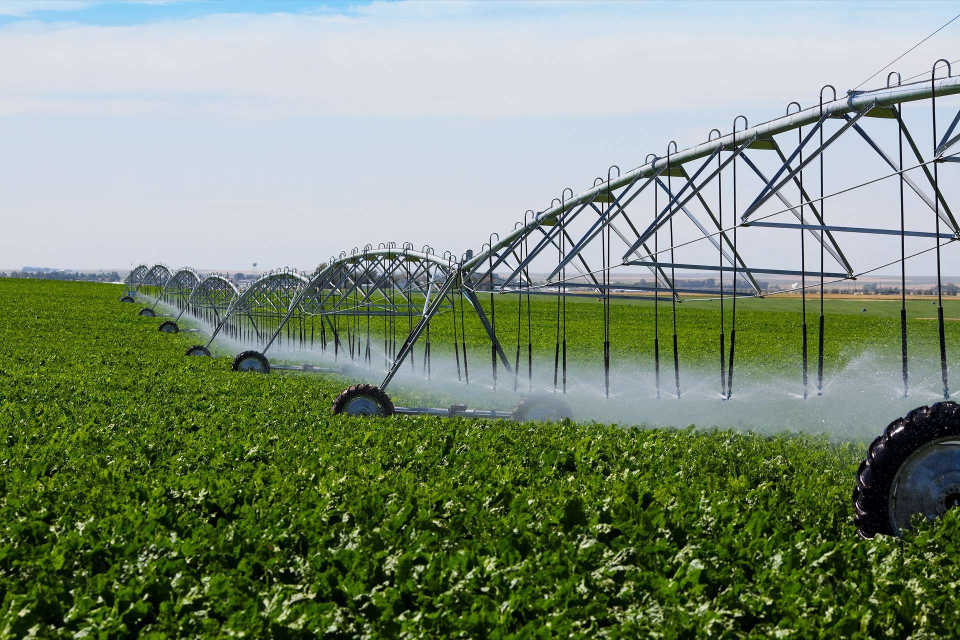 2050 : la bataille de l’eau s’intensifie en France, et voici pourquoi ça peut mal finir