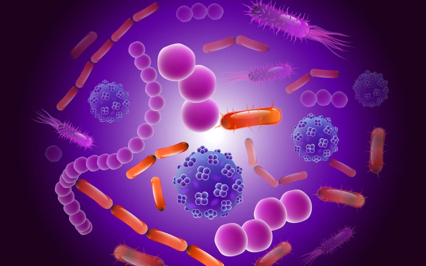 Virus & Recherche cover image