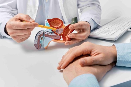 Ejaculer fréquemment aide-t-il à prévenir le cancer de la prostate ?