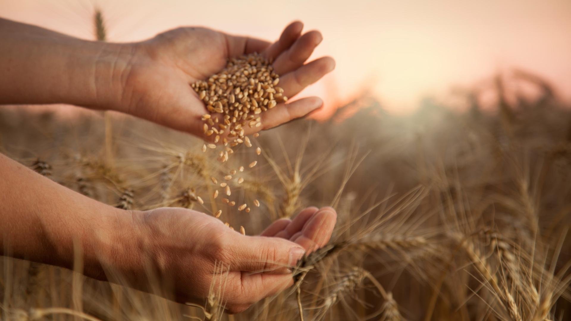 De l’épuisement à la résilience : l’agriculture en pleine mutation