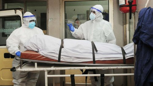L'Inde s'inquiète de l'épidémie du virus Nipah