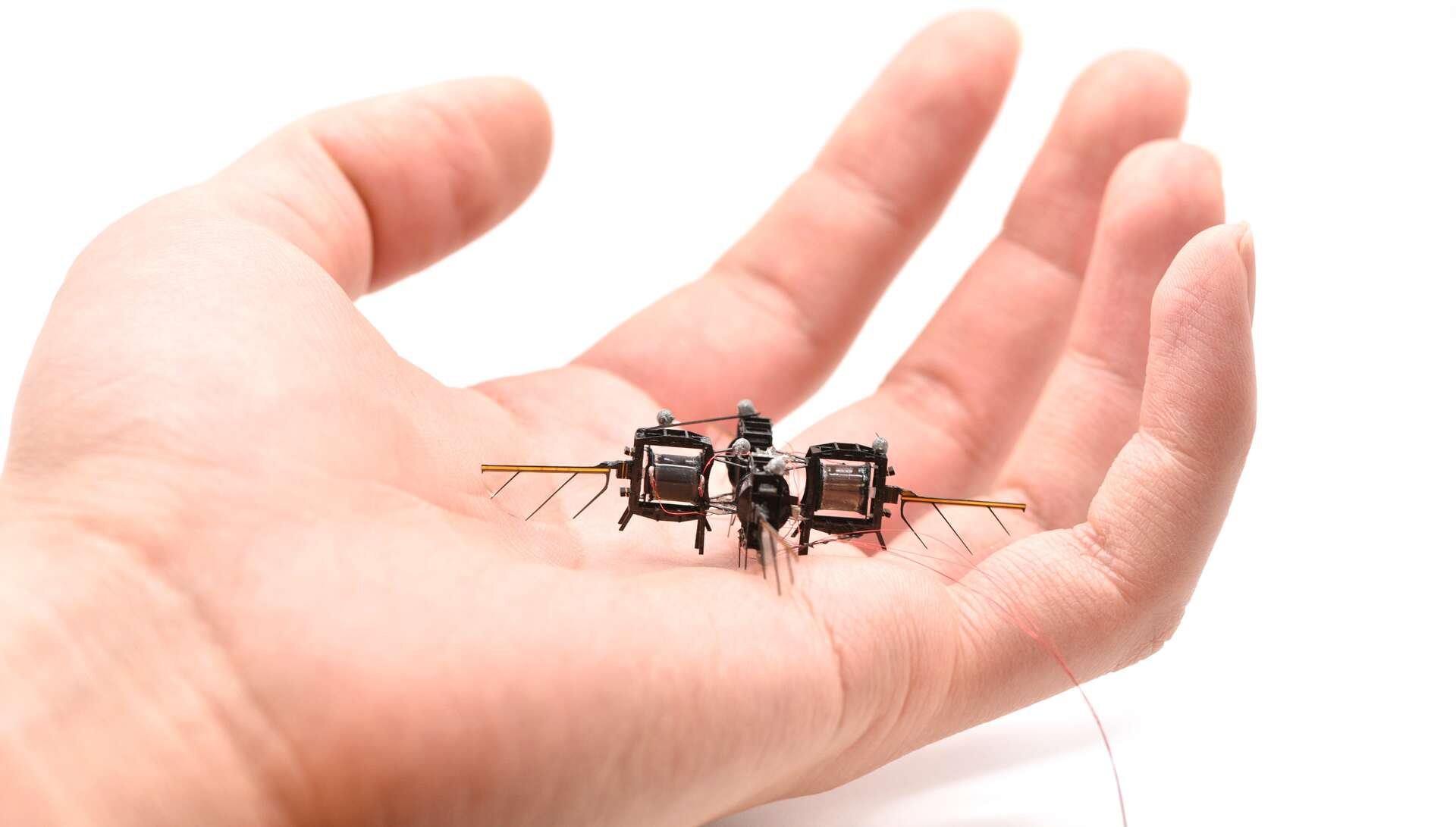 Mars : ces mini-robots volants pourraient devenir indispensables à la survie des premiers colons